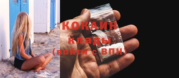 твердый Гусев