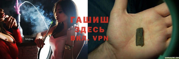 твердый Гусев