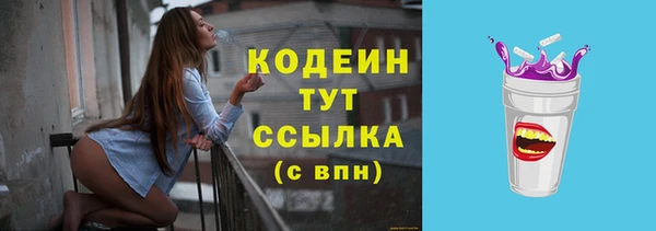 хмурый Дмитровск