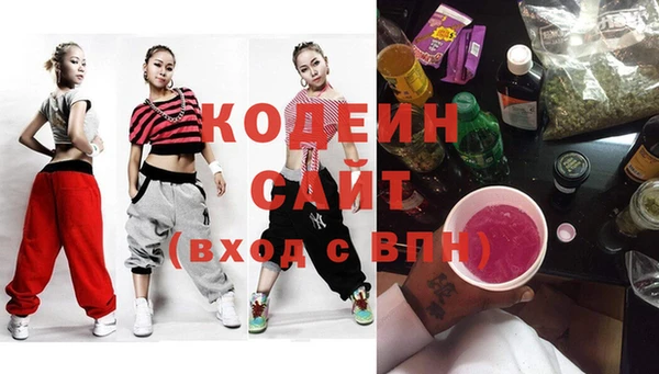 хмурый Дмитровск