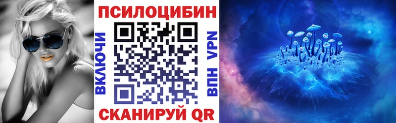 Купить закладки  Лесозаводск  Галлюциногенные грибы Psilocybe 
